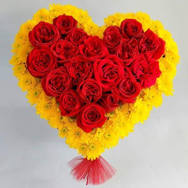 Heart shape Rose & daisy arrangement