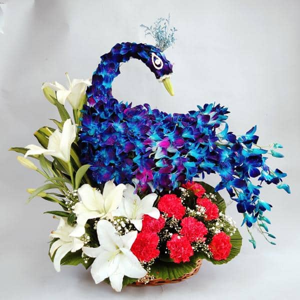Blue Peacock arrangement