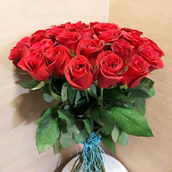 20 Red Rose Bunch - DP Saini Florist